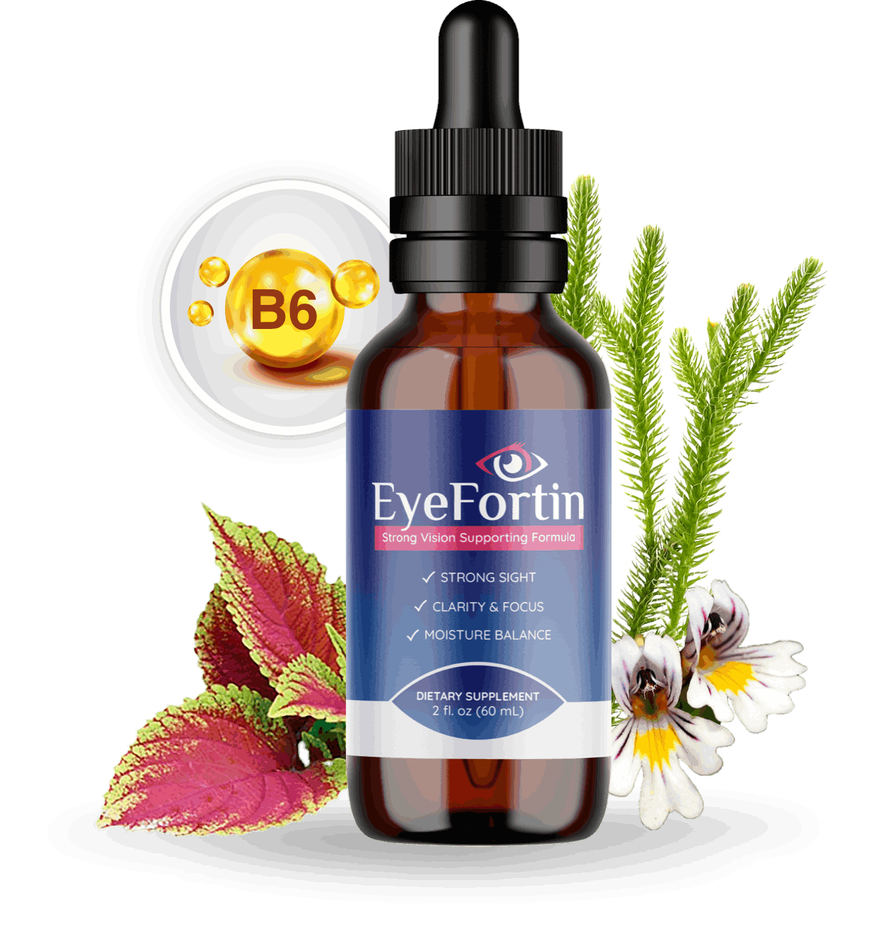 Eyefortin Supplement